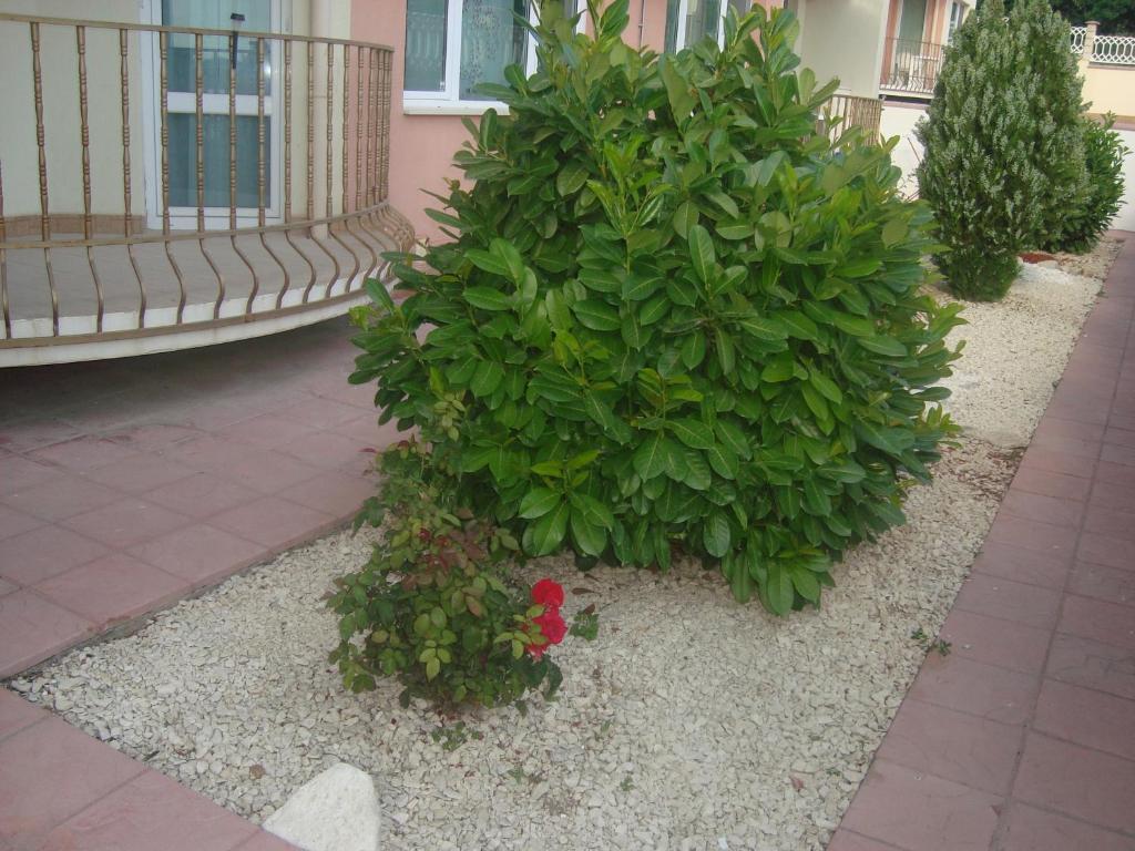 Apartment А13 In Sea Paradise Complex Cavarna Exterior foto